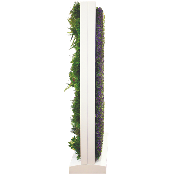 Picture of FWALL3D