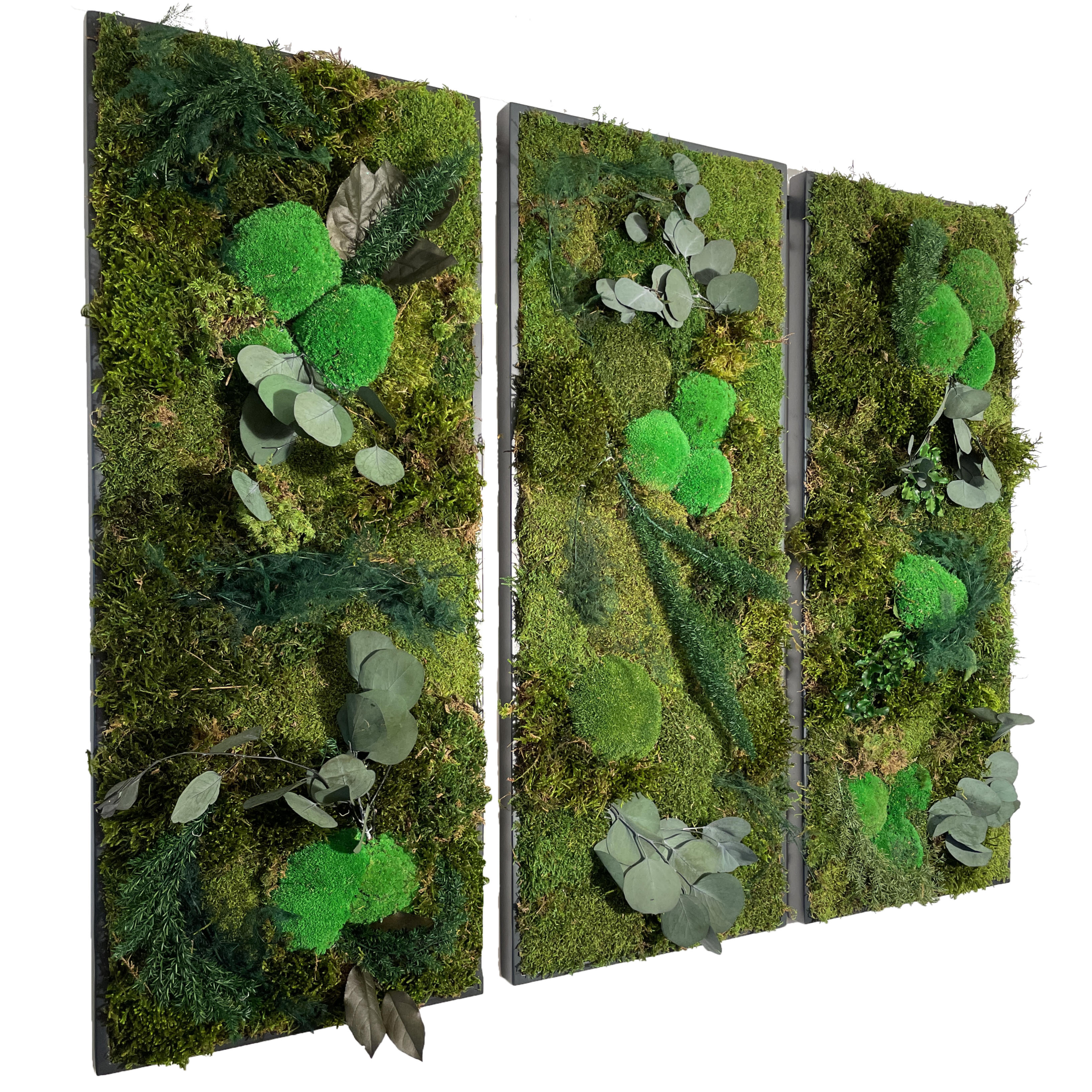 Picture of Triple Moss Frame