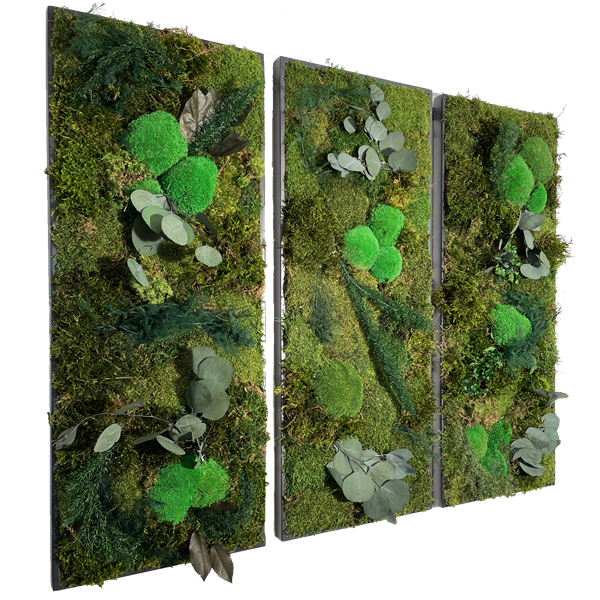 Picture of Triple Moss Frame