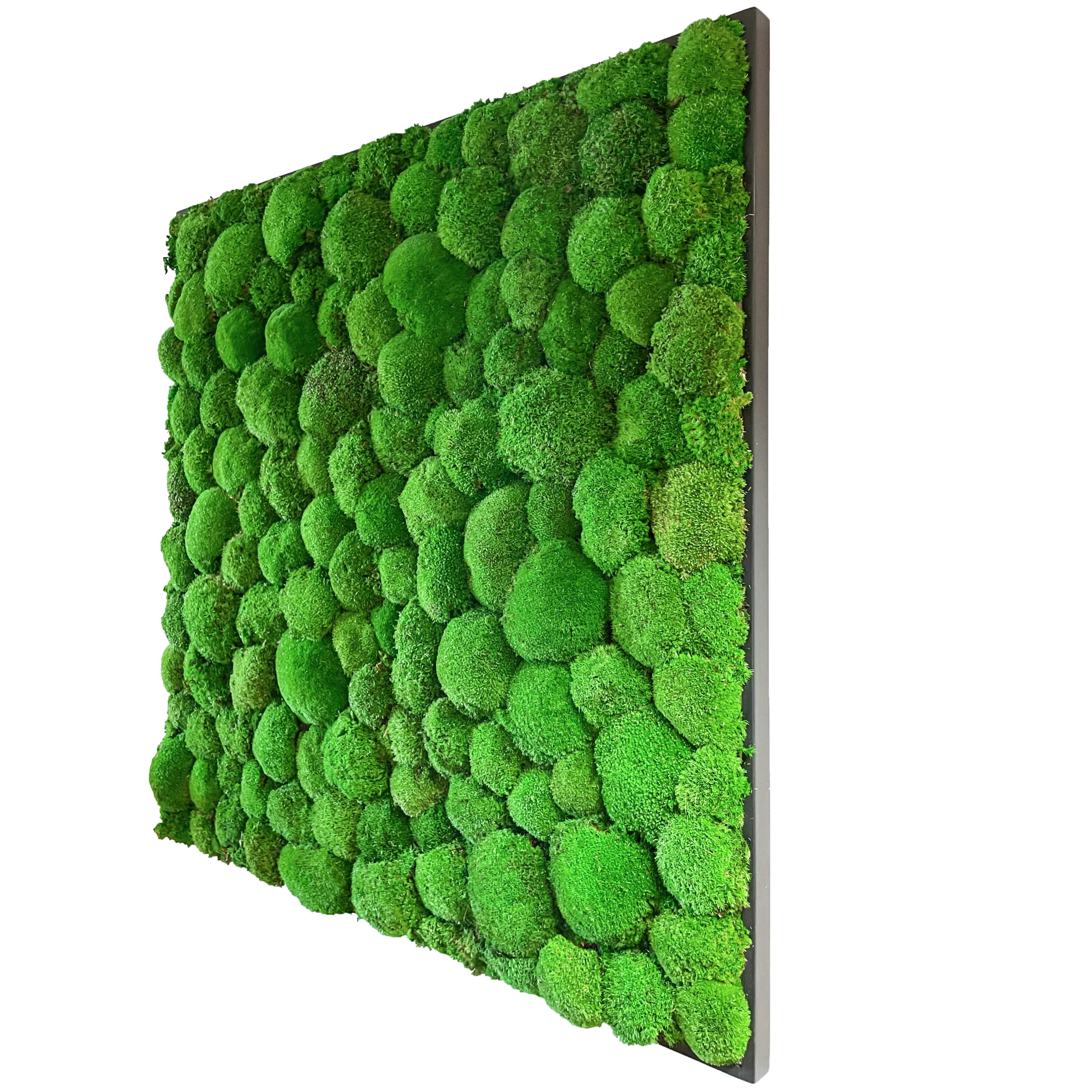 Picture of Square Moss Frame