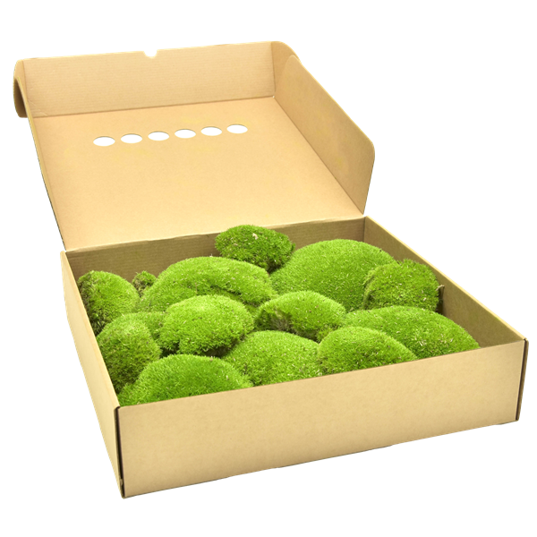 Picture of Ball Moss
