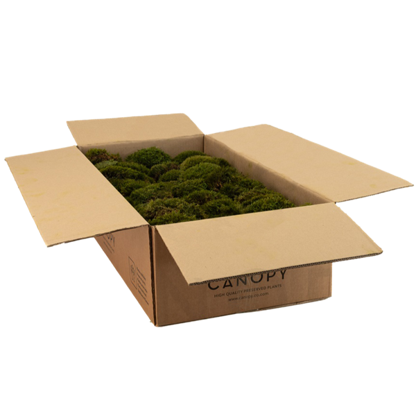 Picture of Mood Moss