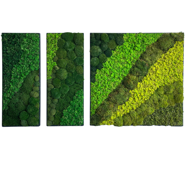 Picture of Gradient Triple Moss Frame