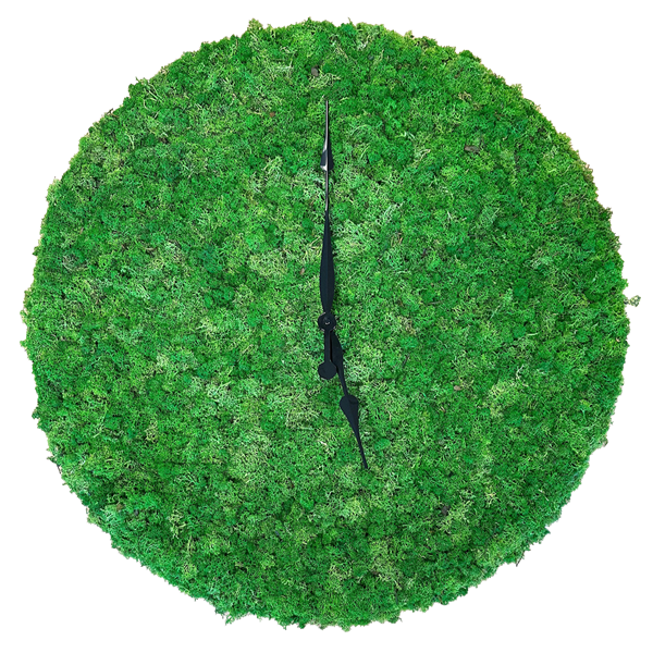 Picture of Clock Moss Frame