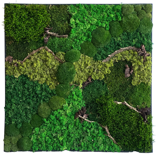 Picture of Nature Art Hillside Moss Frame