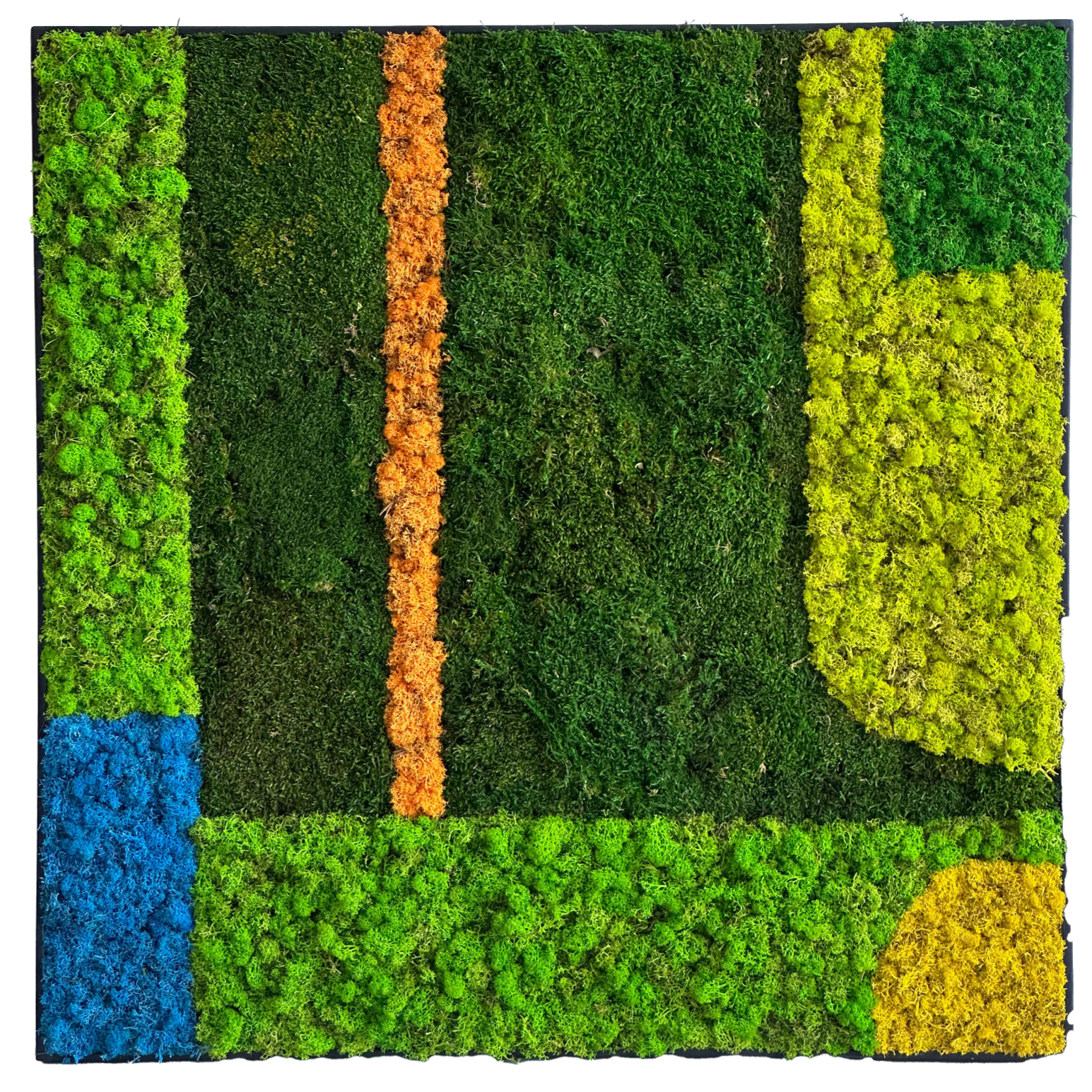 Picture of Colour Moss Frame