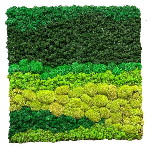 Picture of Hillside Moss Frame