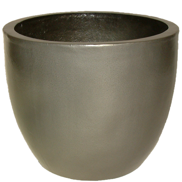 Picture of BOD1