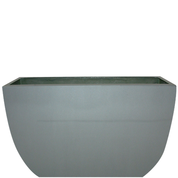 Picture of LINT1