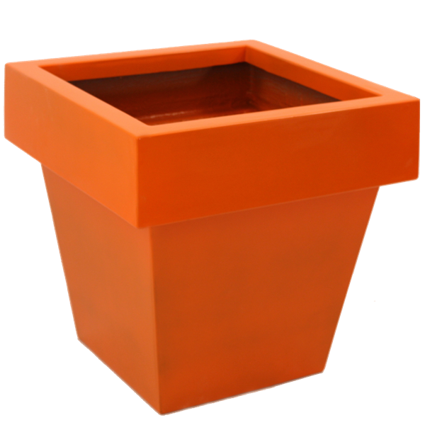 Picture of BEN02