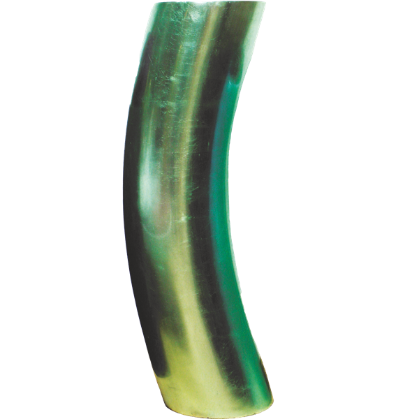 Picture of MUSA3