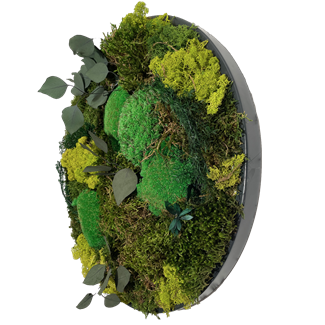 Circular Moss Frame