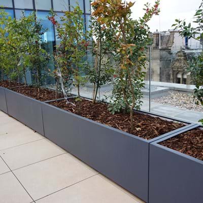 barrier planters