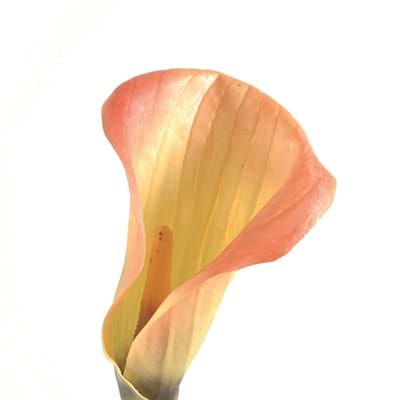 Artificial Flowers