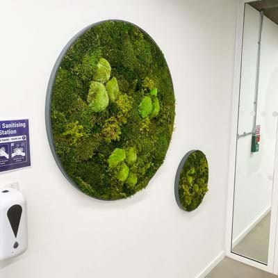 Moss Walls