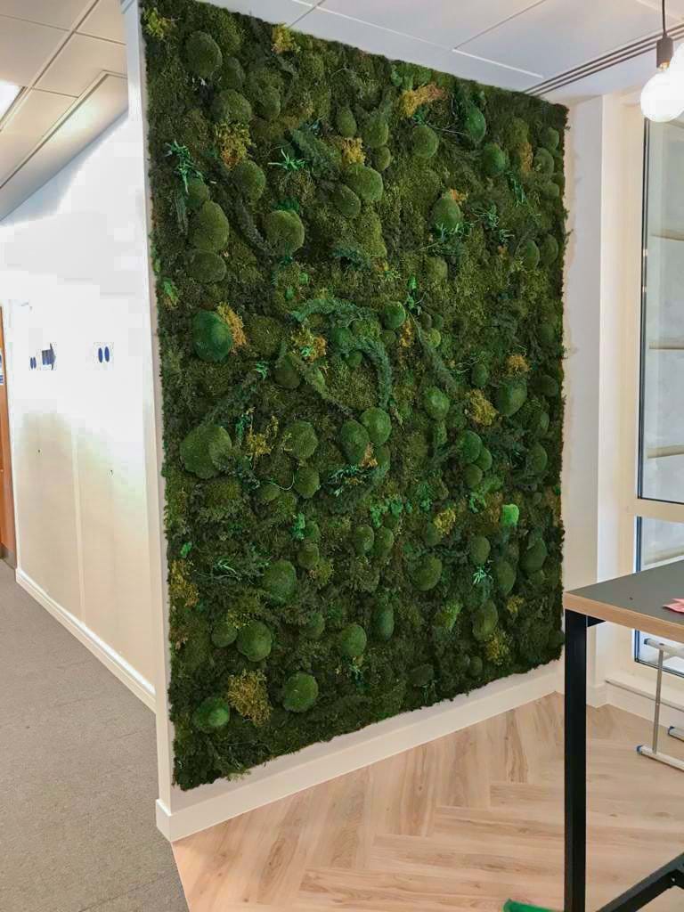 Moss Cladding Preserved Moss | Livingreen Design
