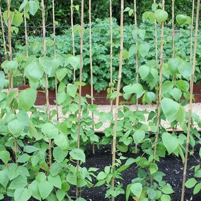 Bespoke Fibreglass Planting Beds