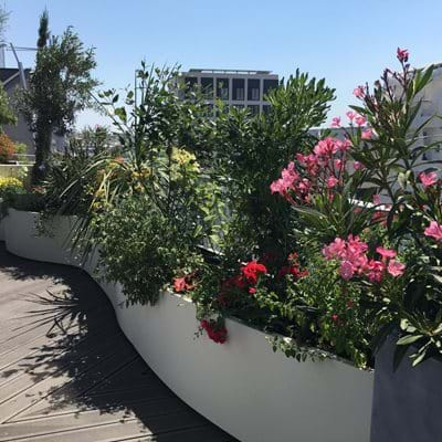 Bespoke Planters Corporate HQ