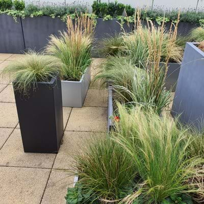 Office Head Quarters Roof Garden 