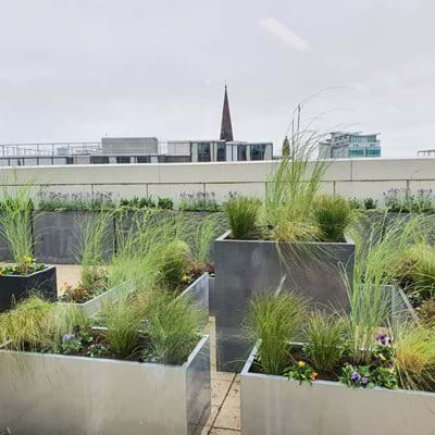 Office Head Quarters Roof Garden 