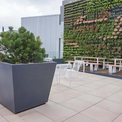 Corporate Roof Garden 