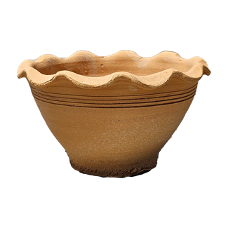 Kaspo