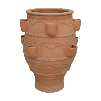 Fraouliera