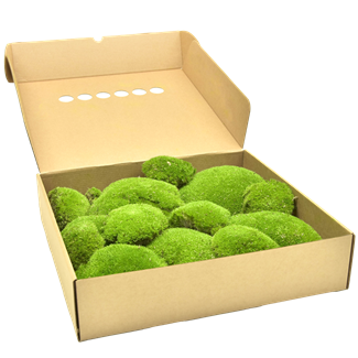 Ball Moss