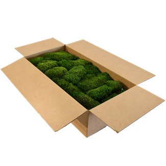 Hair Moss