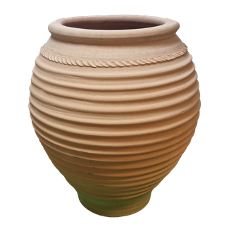 CTPD5975